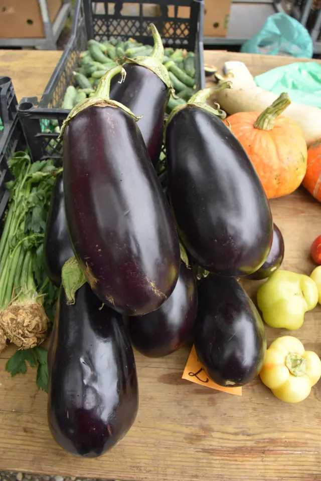 Sajam, Čakovec, 6.8.2025 (12)