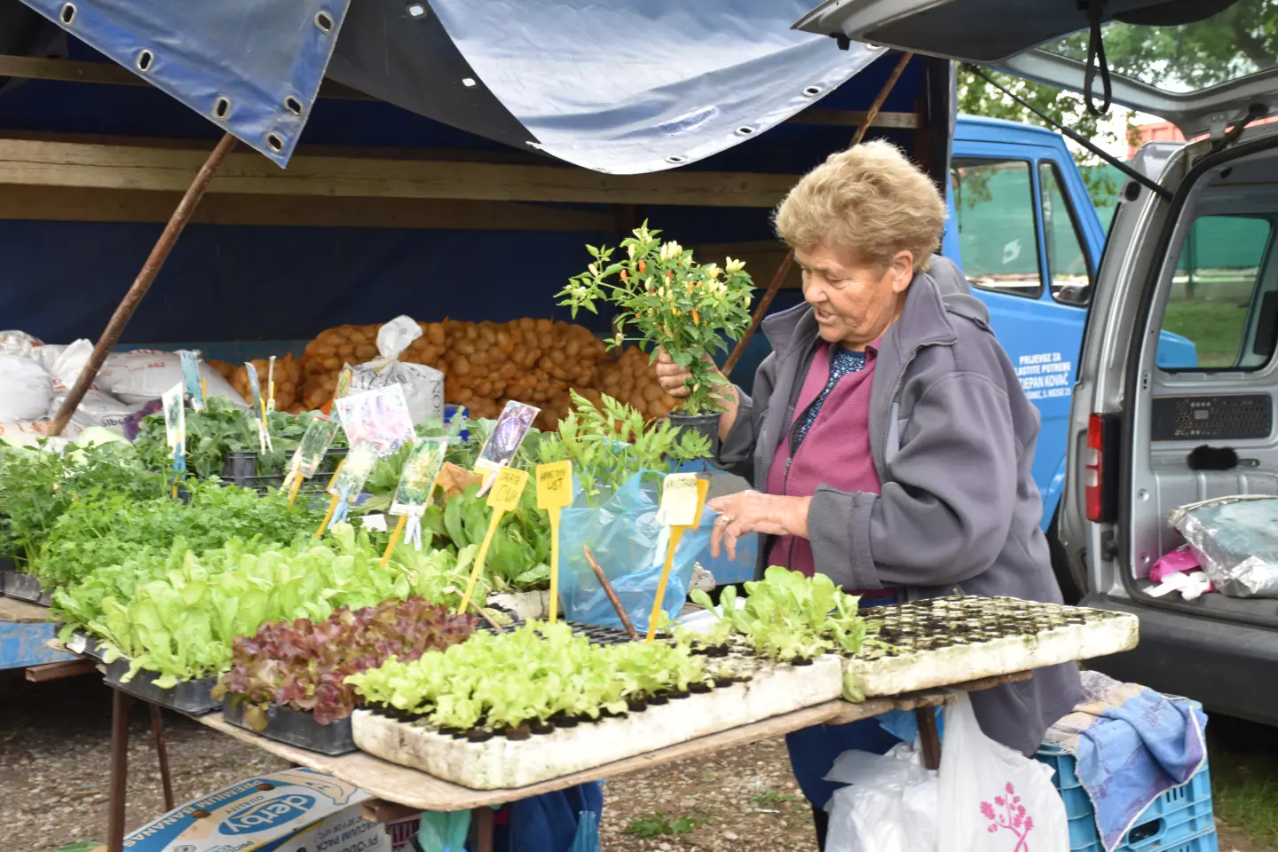 Sajam, Čakovec, 6.8.2025 (14)