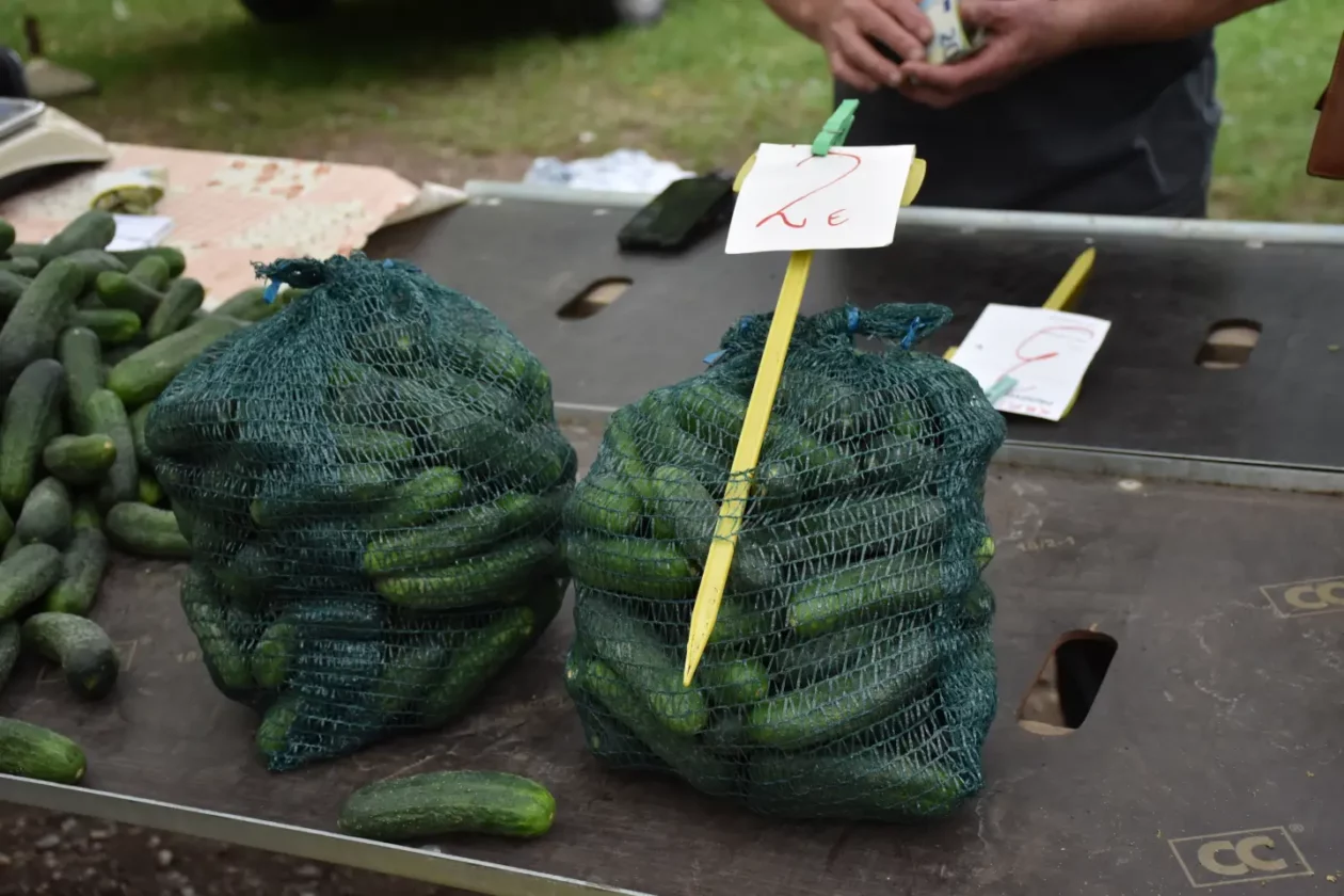 Sajam, Čakovec, 6.8.2025 (17)
