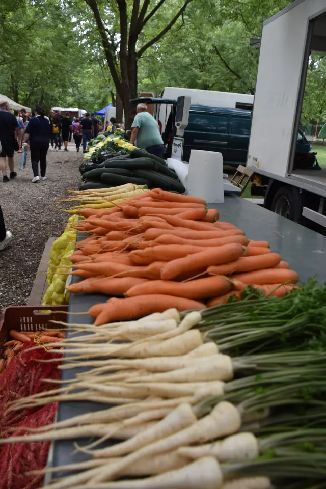 Sajam, Čakovec, 6.8.2025 (21)