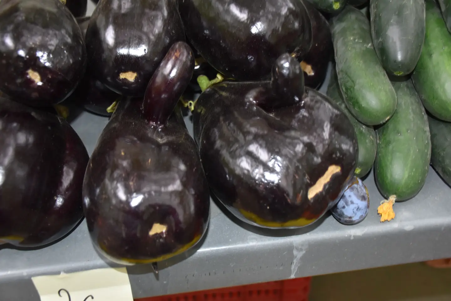 Sajam, Čakovec, 6.8.2025 (22)