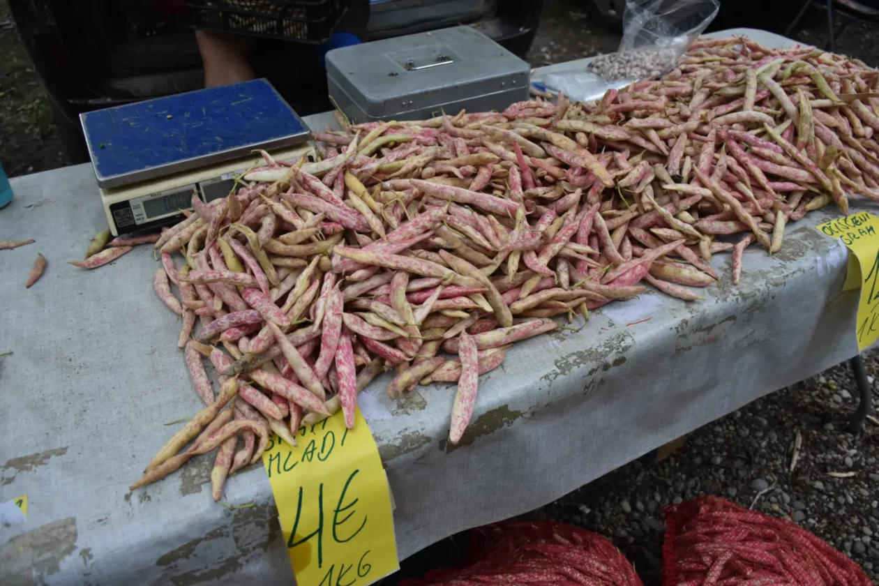 Sajam, Čakovec, 6.8.2025 (26)