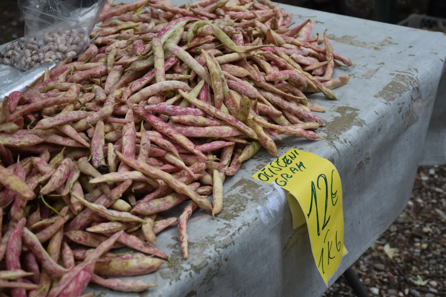 Sajam, Čakovec, 6.8.2025 (27)