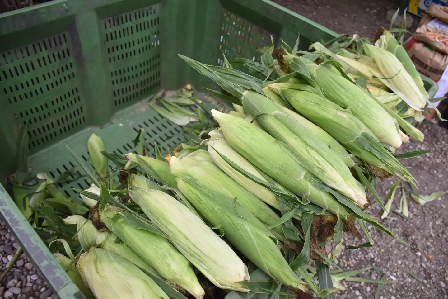 Sajam, Čakovec, 6.8.2025 (29)