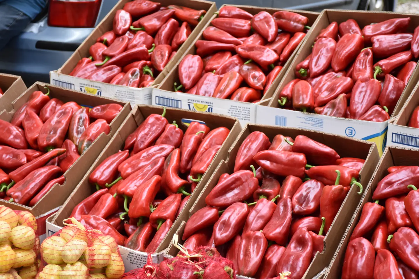 Sajam, Čakovec, 6.8.2025 (39)