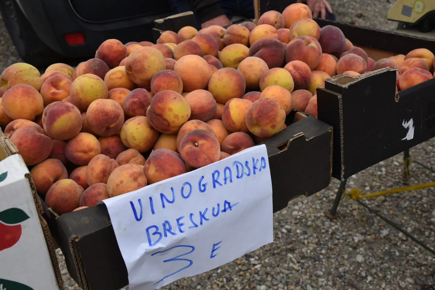 Sajam, Čakovec, 6.8.2025 (4)