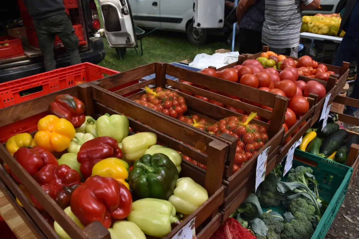 Sajam, Čakovec, 6.8.2025 (41)