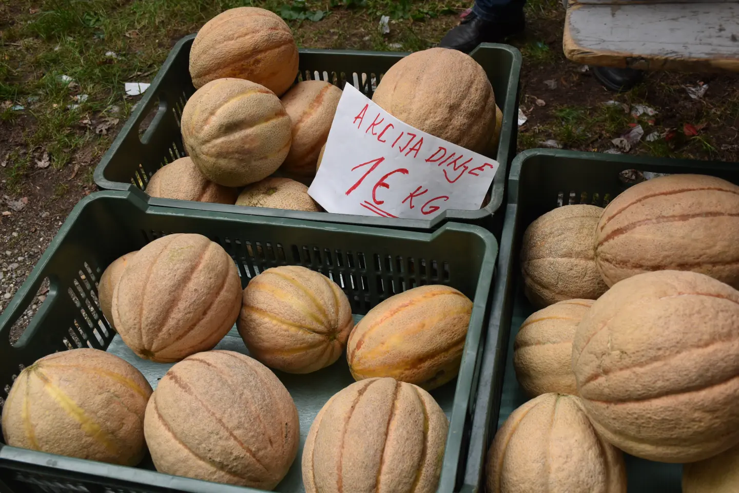 Sajam, Čakovec, 6.8.2025 (43)