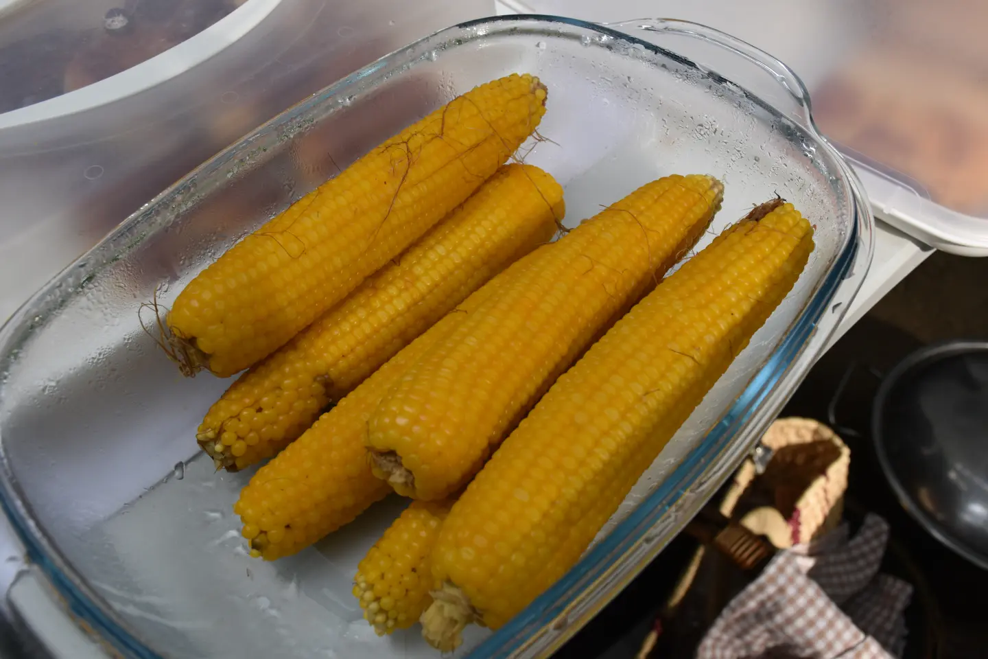 Sajam, Čakovec, 6.8.2025 (47)