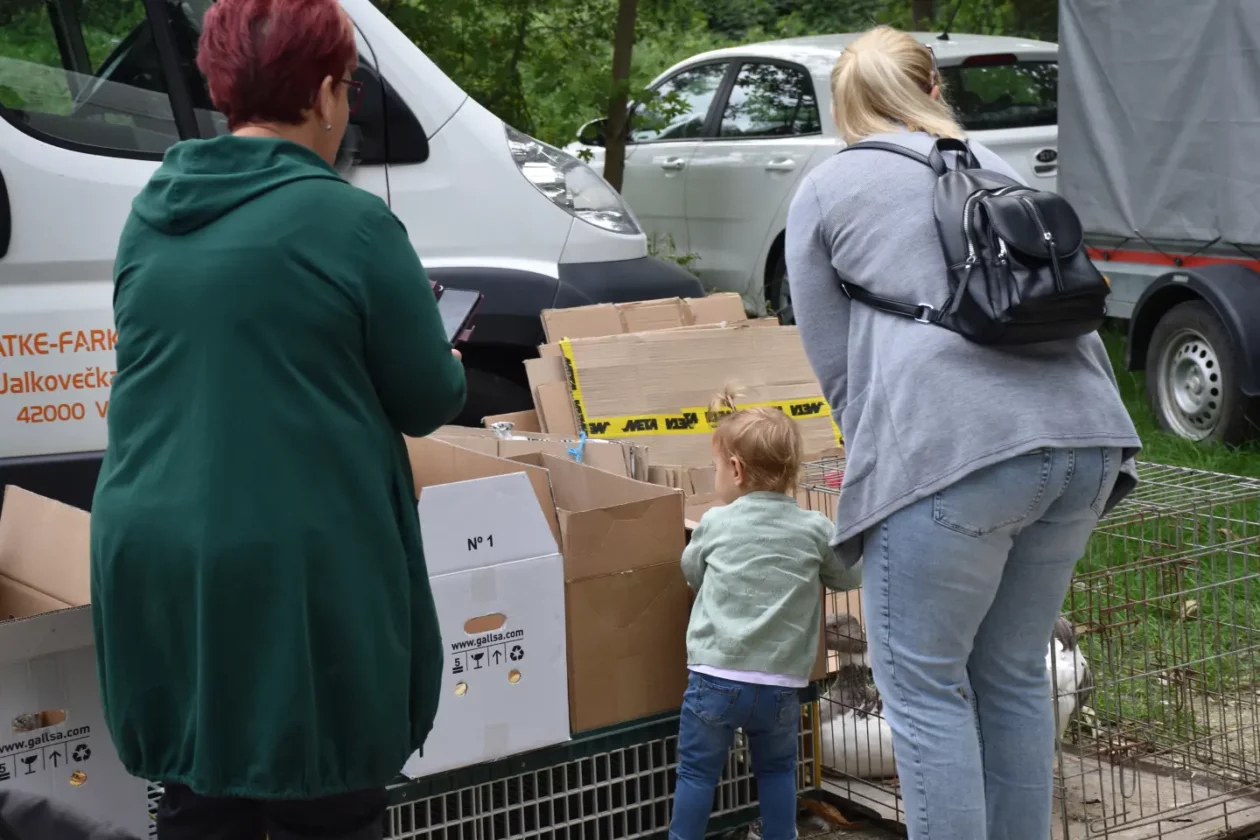 Sajam, Čakovec, 6.8.2025 (60)