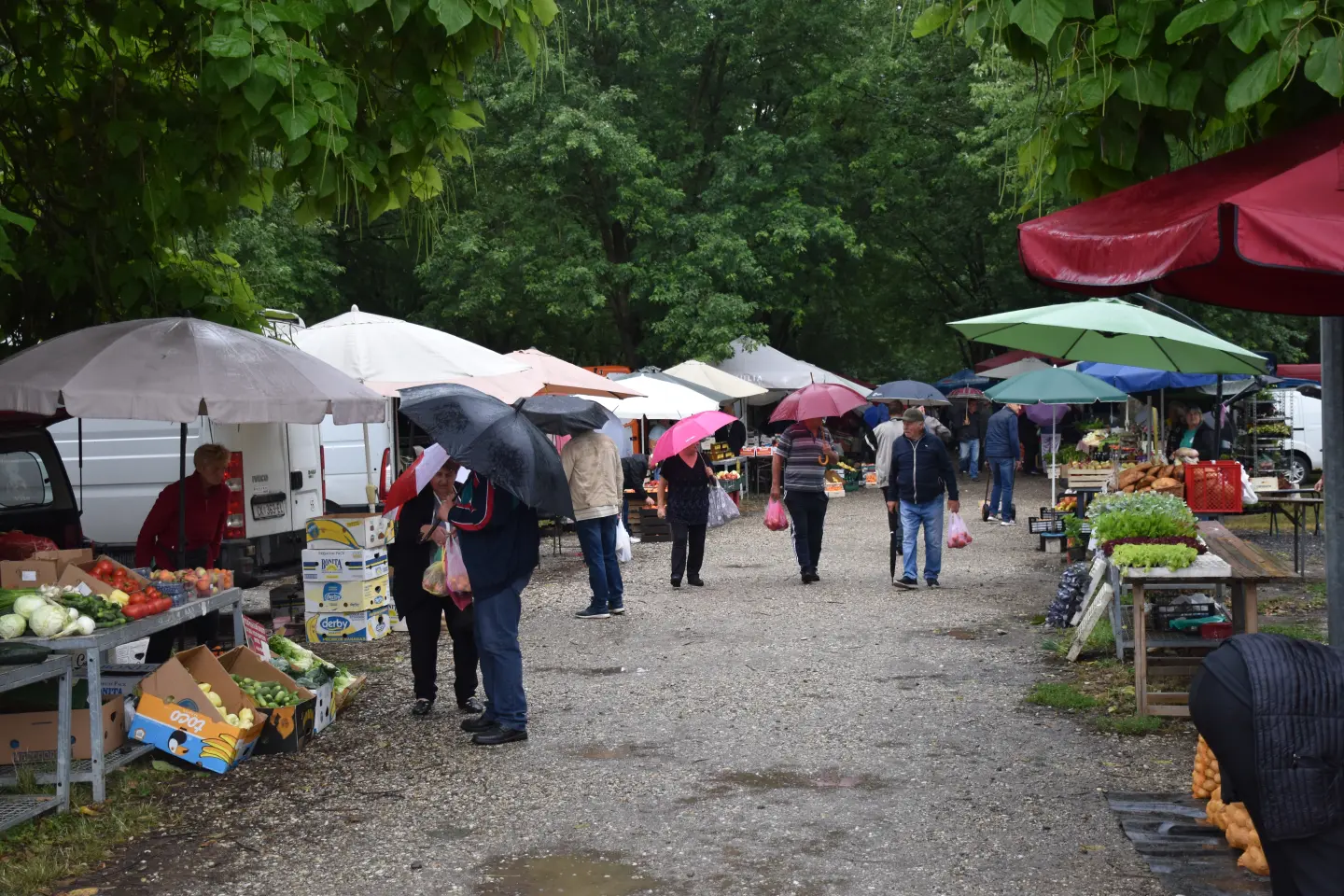 Sajam, Čakovec, 9.7.2025 (1)