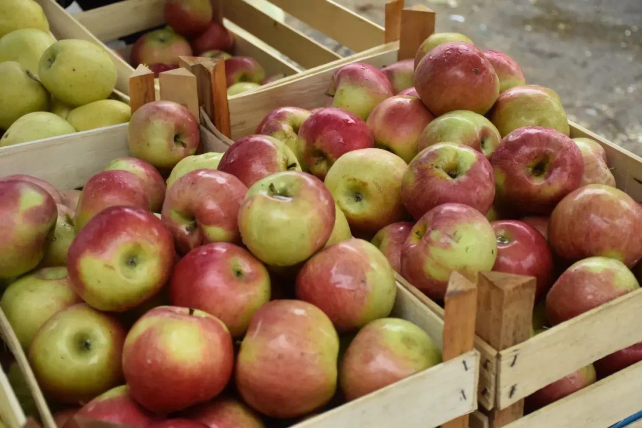 Sajam, Čakovec, 9.7.2025 (10) Sajam, Čakovec, 9.7.2025 (10)