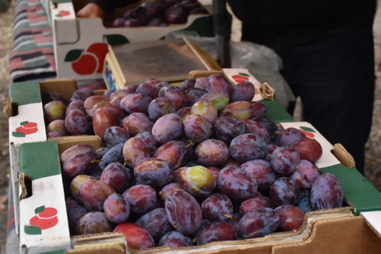 Sajam, Čakovec, 9.7.2025 (12) Sajam, Čakovec, 9.7.2025 (12)