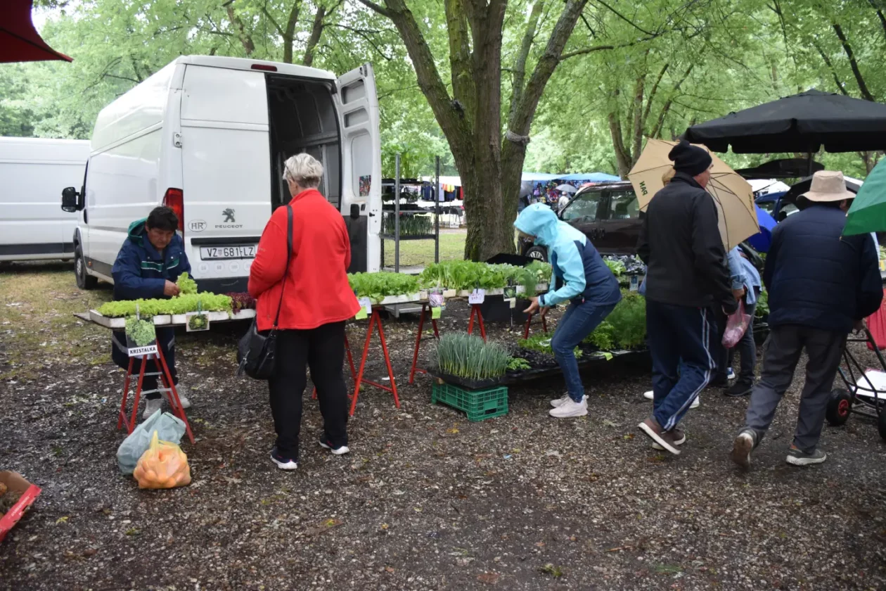 Sajam, Čakovec, 9.7.2025 (20) Sajam, Čakovec, 9.7.2025 (20)