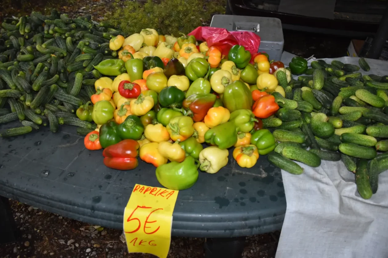 Sajam, Čakovec, 9.7.2025 (21) Sajam, Čakovec, 9.7.2025 (21)