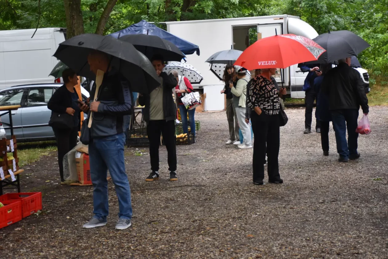 Sajam, Čakovec, 9.7.2025 (24) Sajam, Čakovec, 9.7.2025 (24)