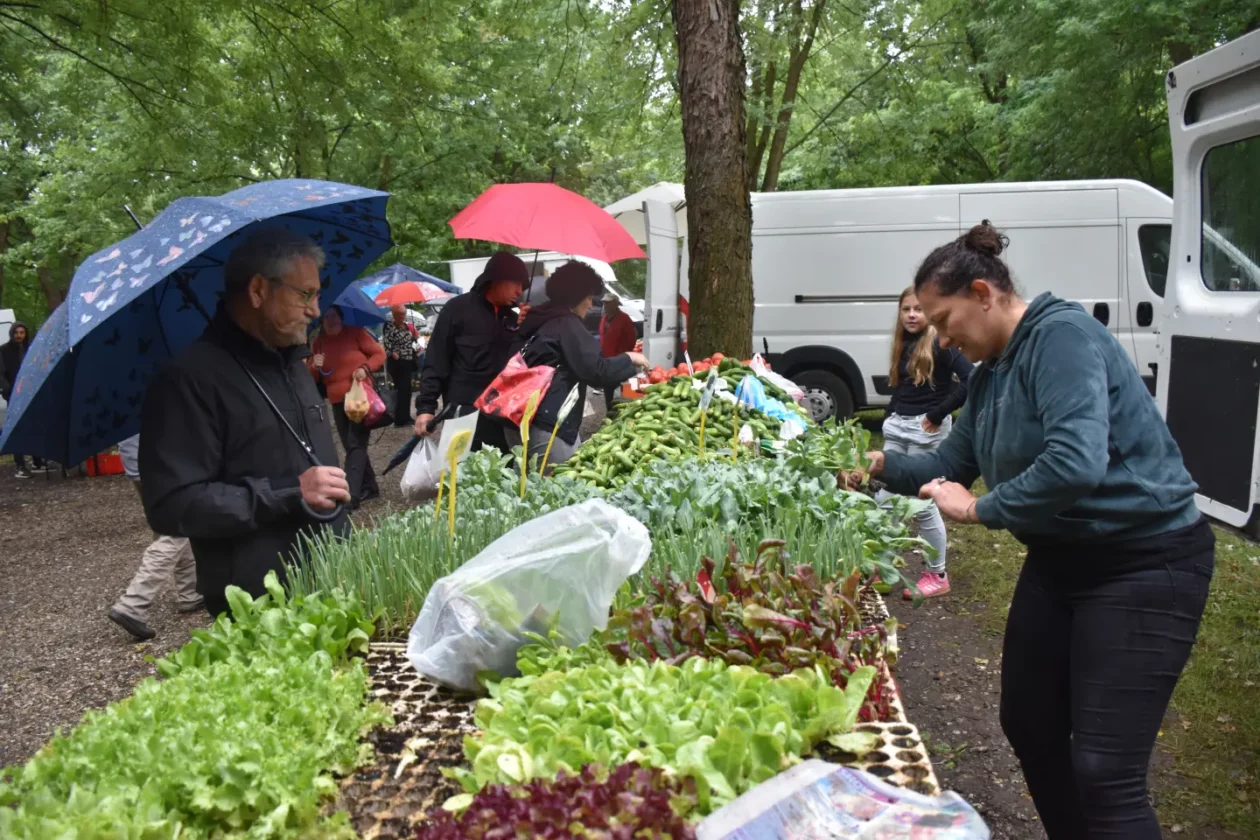 Sajam, Čakovec, 9.7.2025 (25) Sajam, Čakovec, 9.7.2025 (25)