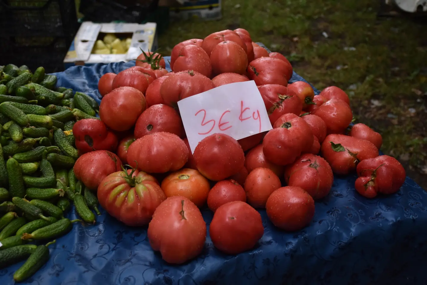 Sajam, Čakovec, 9.7.2025 (26)