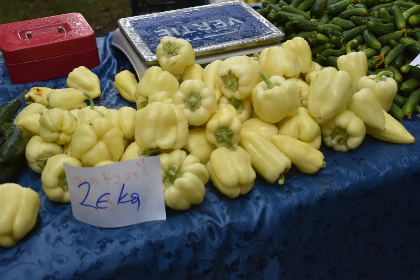 Sajam, Čakovec, 9.7.2025 (27)