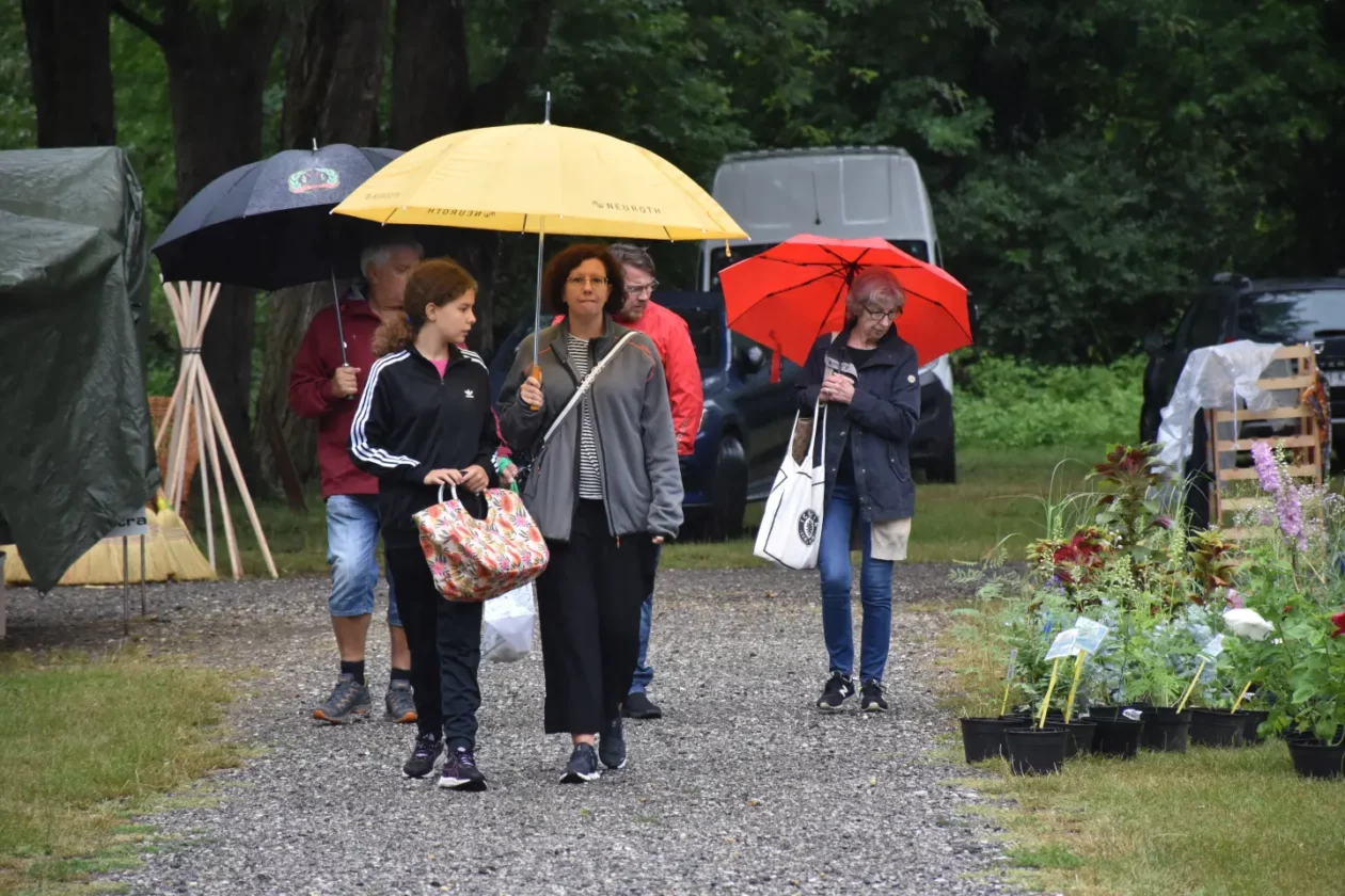 Sajam, Čakovec, 9.7.2025 (33) Sajam, Čakovec, 9.7.2025 (33)