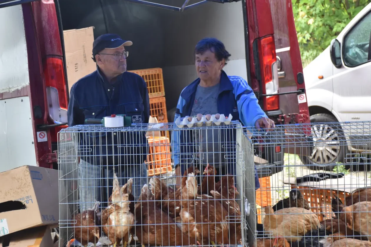 Sajam, Čakovec, 9.7.2025 (35) Sajam, Čakovec, 9.7.2025 (35)