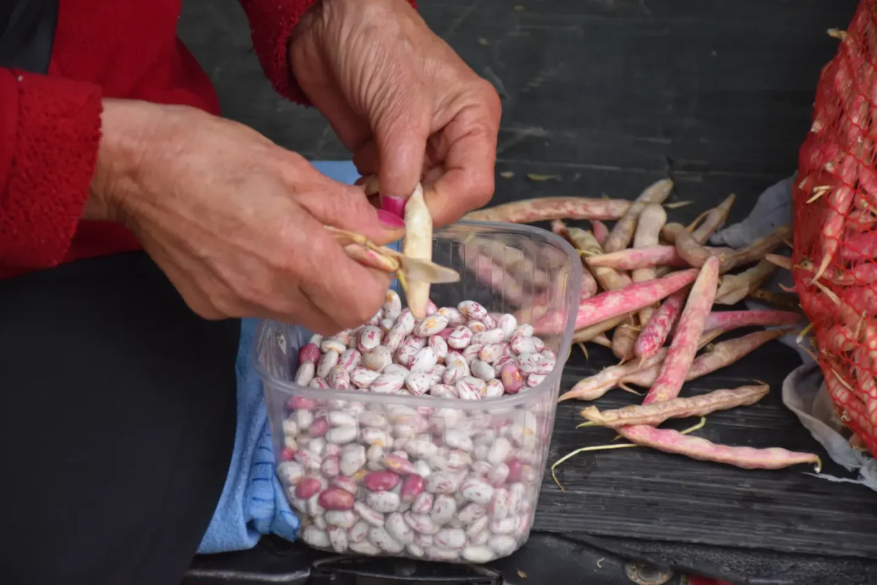 Sajam, Čakovec, 9.7.2025 (5) Sajam, Čakovec, 9.7.2025 (5)