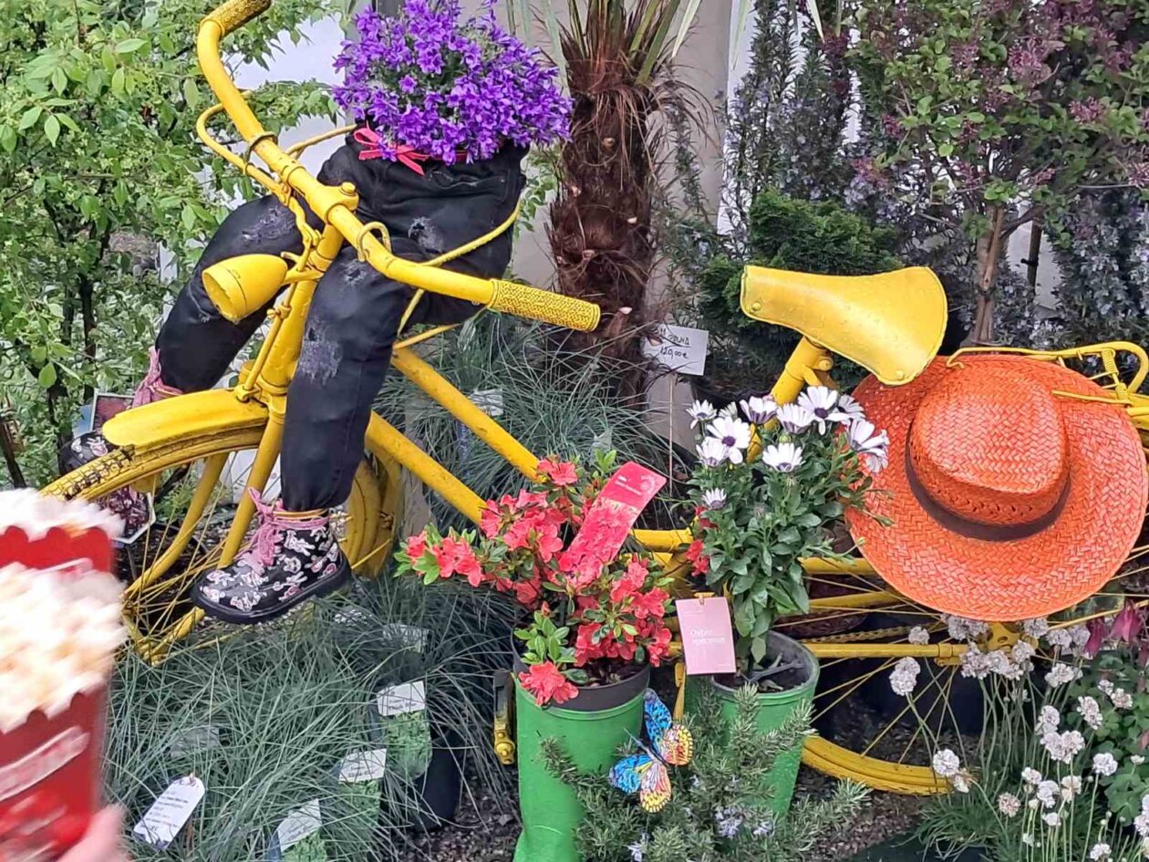 Sajam cvijeća, 2025, ponuda (1)