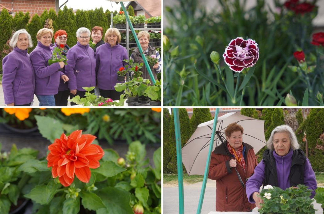 Sajam cvijeća Dunjkovec