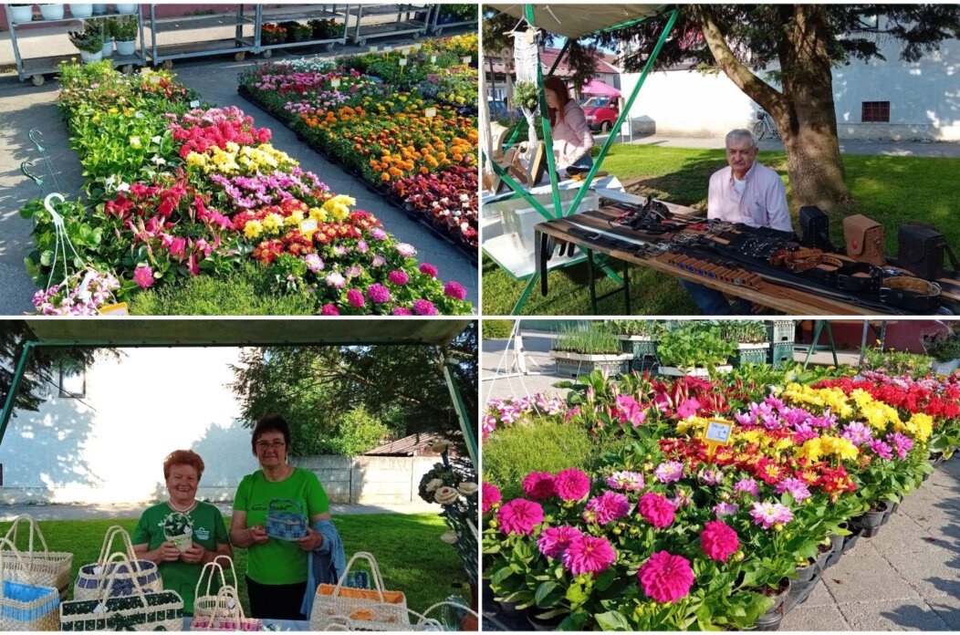 Sajam cvijeća Nedelišće 2025 (13)
