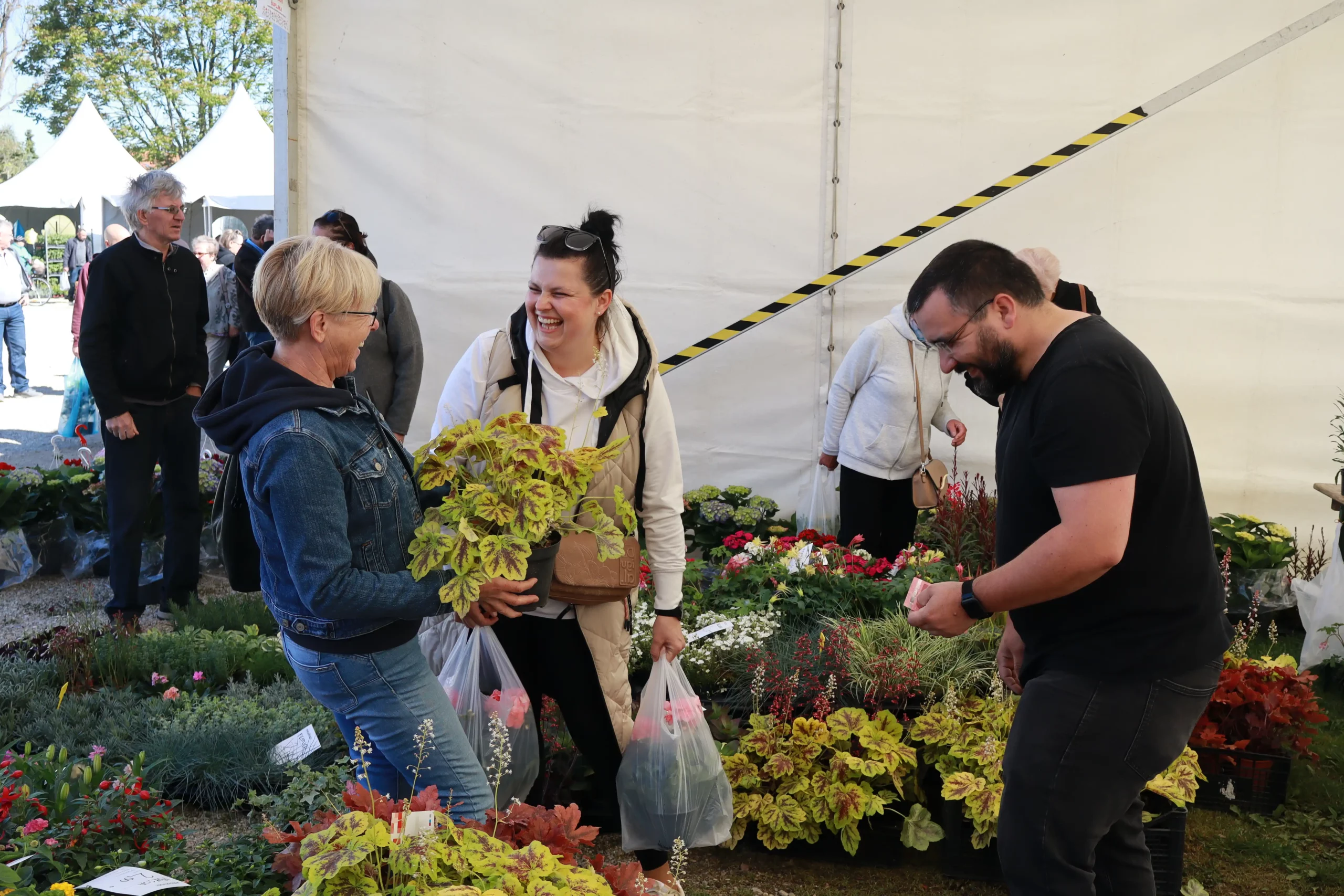 Sajam cvijeća Prelog, 2024 (10) Sajam cvijeća Prelog, 2024 (10)