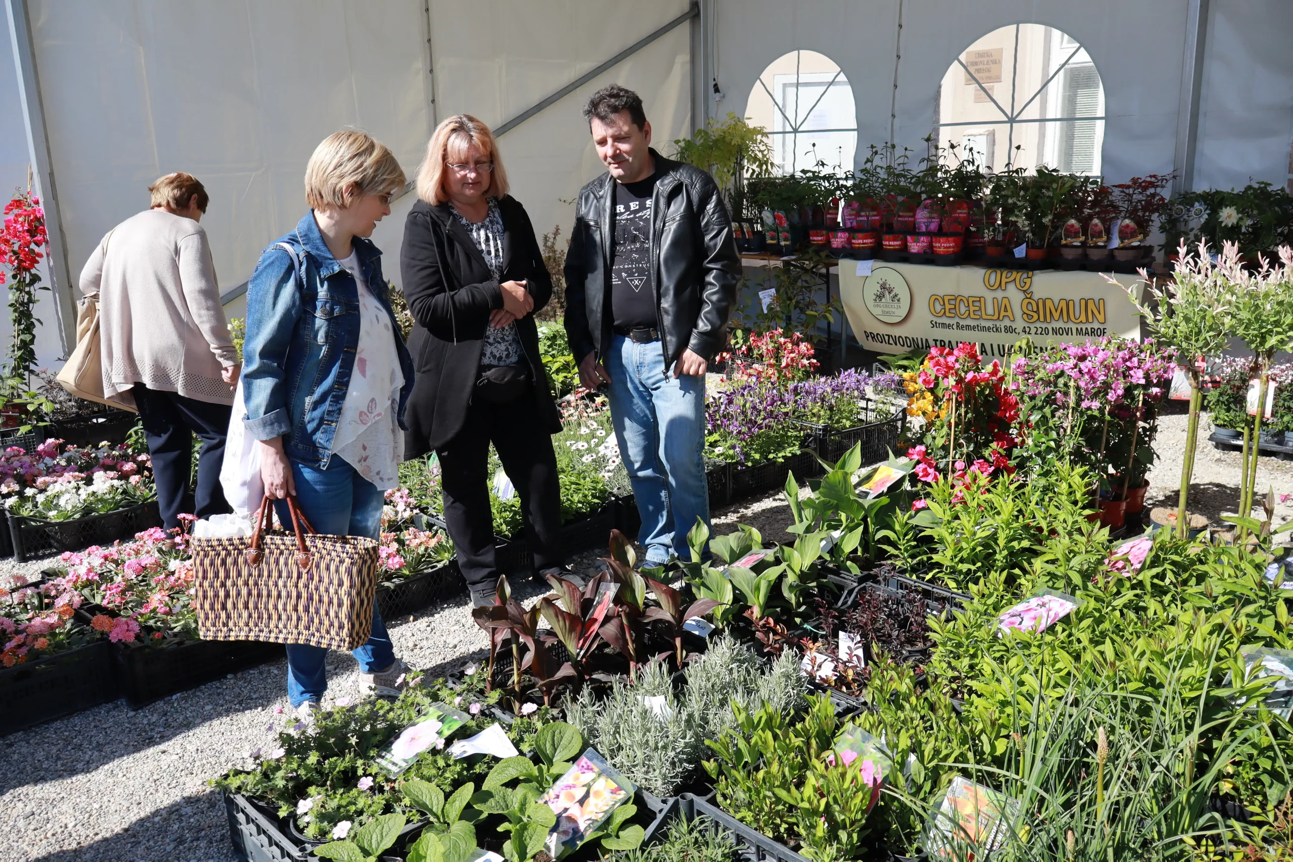 Sajam cvijeća Prelog, 2024 (2) Sajam cvijeća Prelog, 2024 (2)