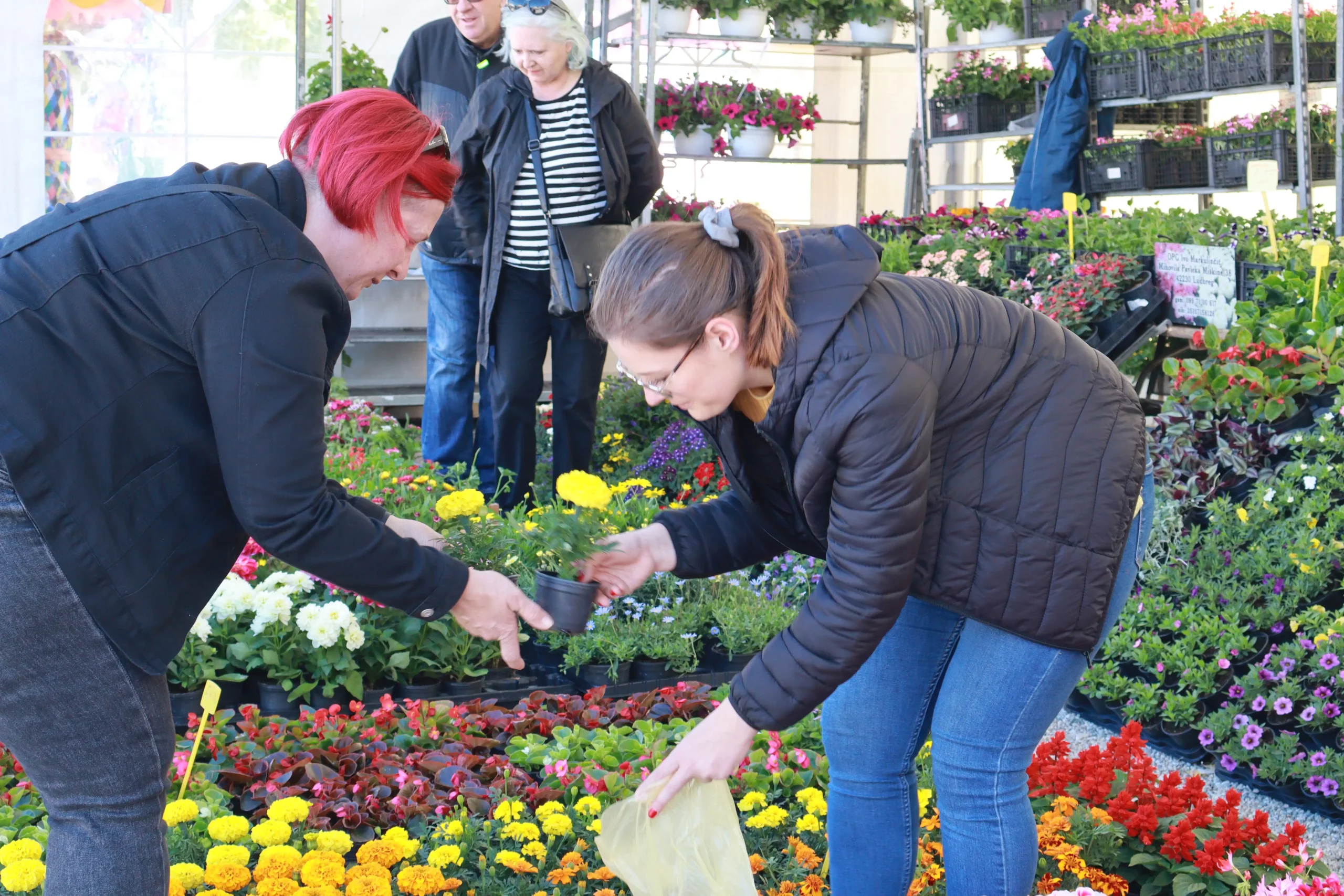 Sajam cvijeća Prelog, 2024 (22) Sajam cvijeća Prelog, 2024 (22)