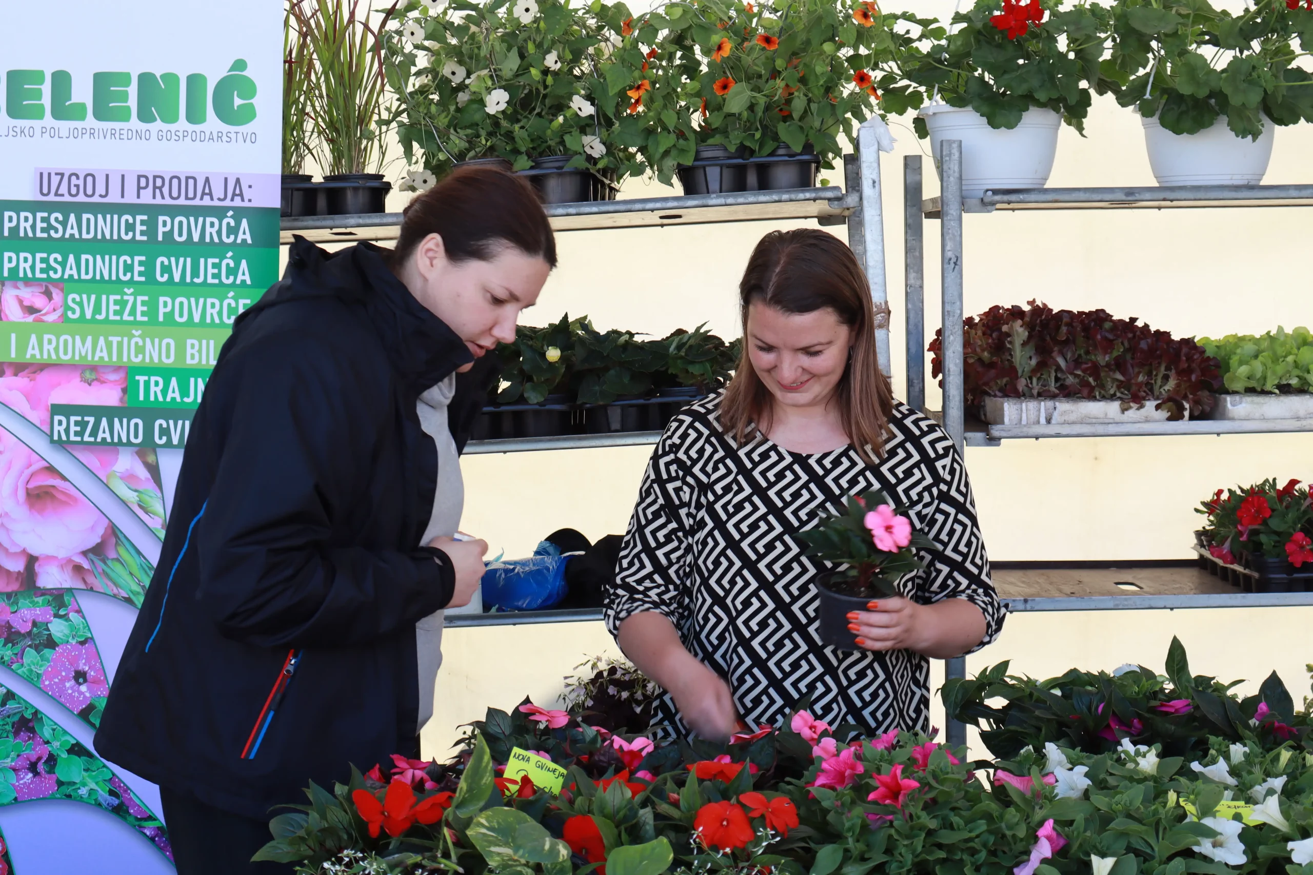 Sajam cvijeća Prelog, 2024 (28) Sajam cvijeća Prelog, 2024 (28)