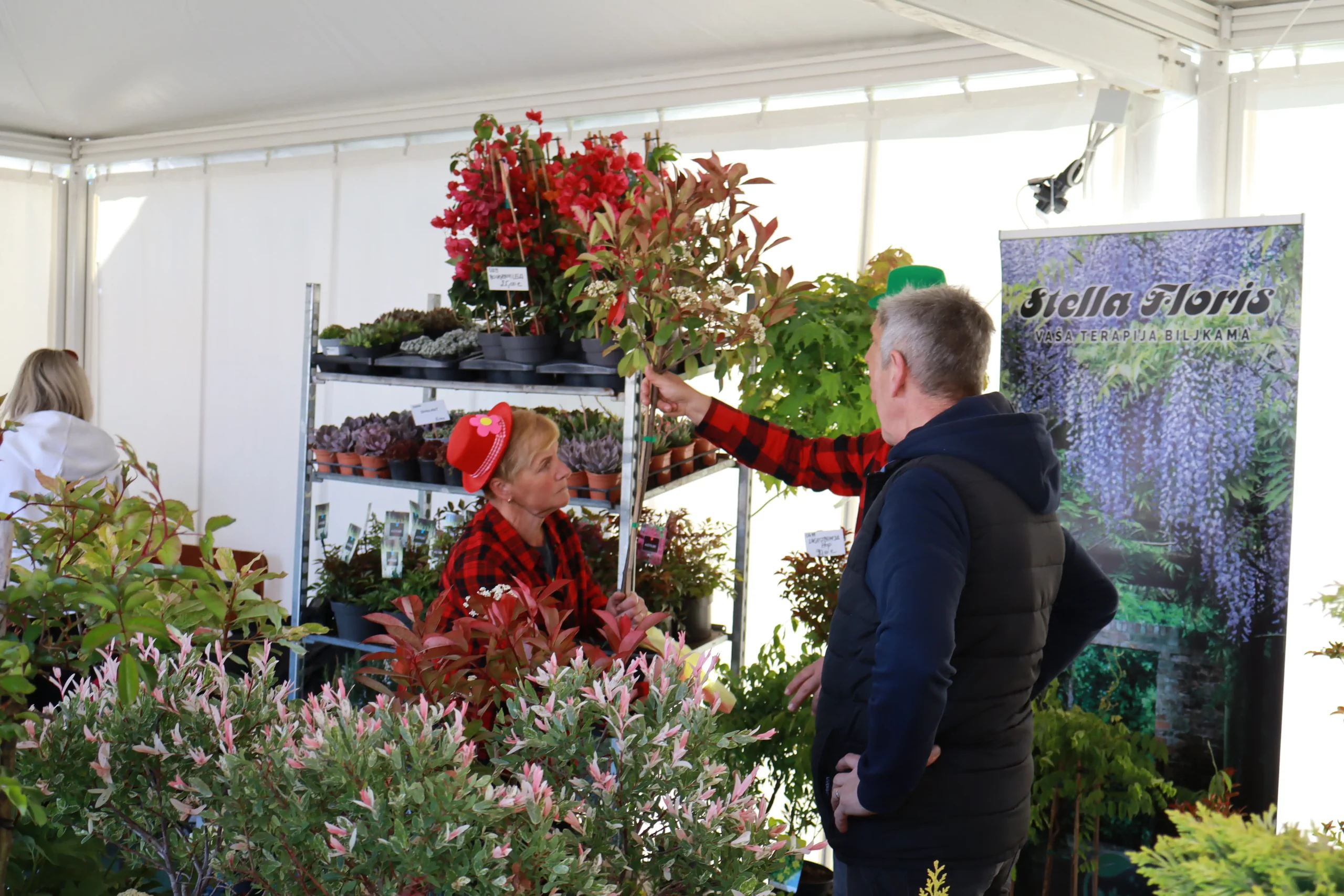 Sajam cvijeća Prelog, 2024 (29) Sajam cvijeća Prelog, 2024 (29)