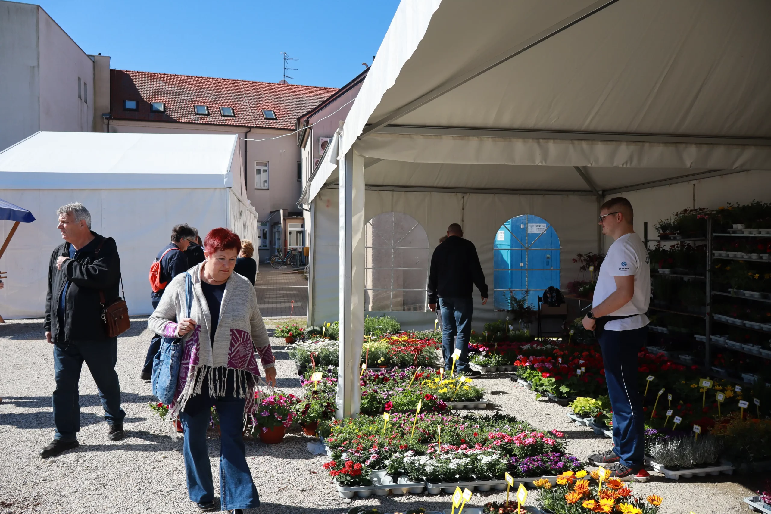 Sajam cvijeća Prelog, 2024 (3) Sajam cvijeća Prelog, 2024 (3)