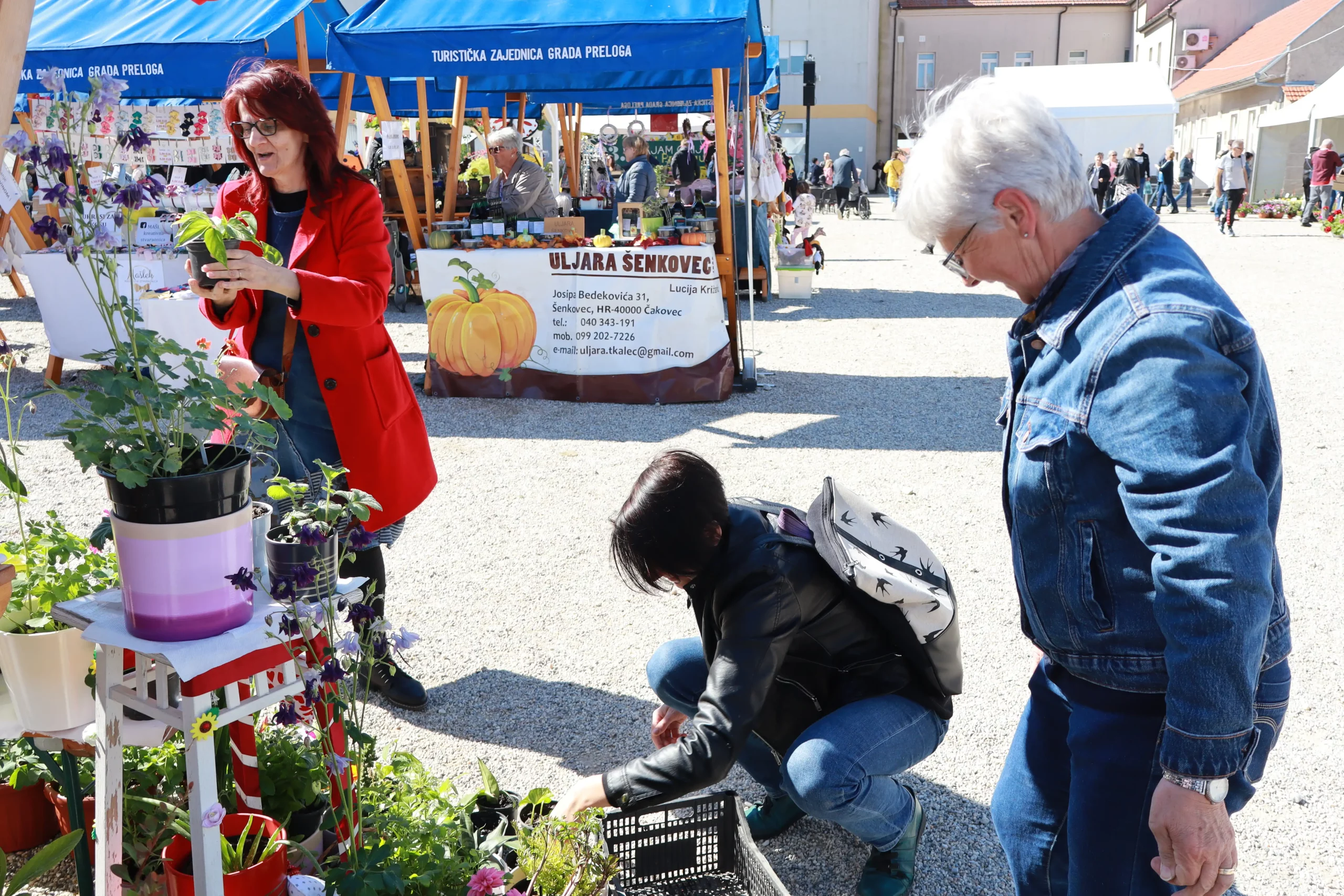 Sajam cvijeća Prelog, 2024 (4) Sajam cvijeća Prelog, 2024 (4)