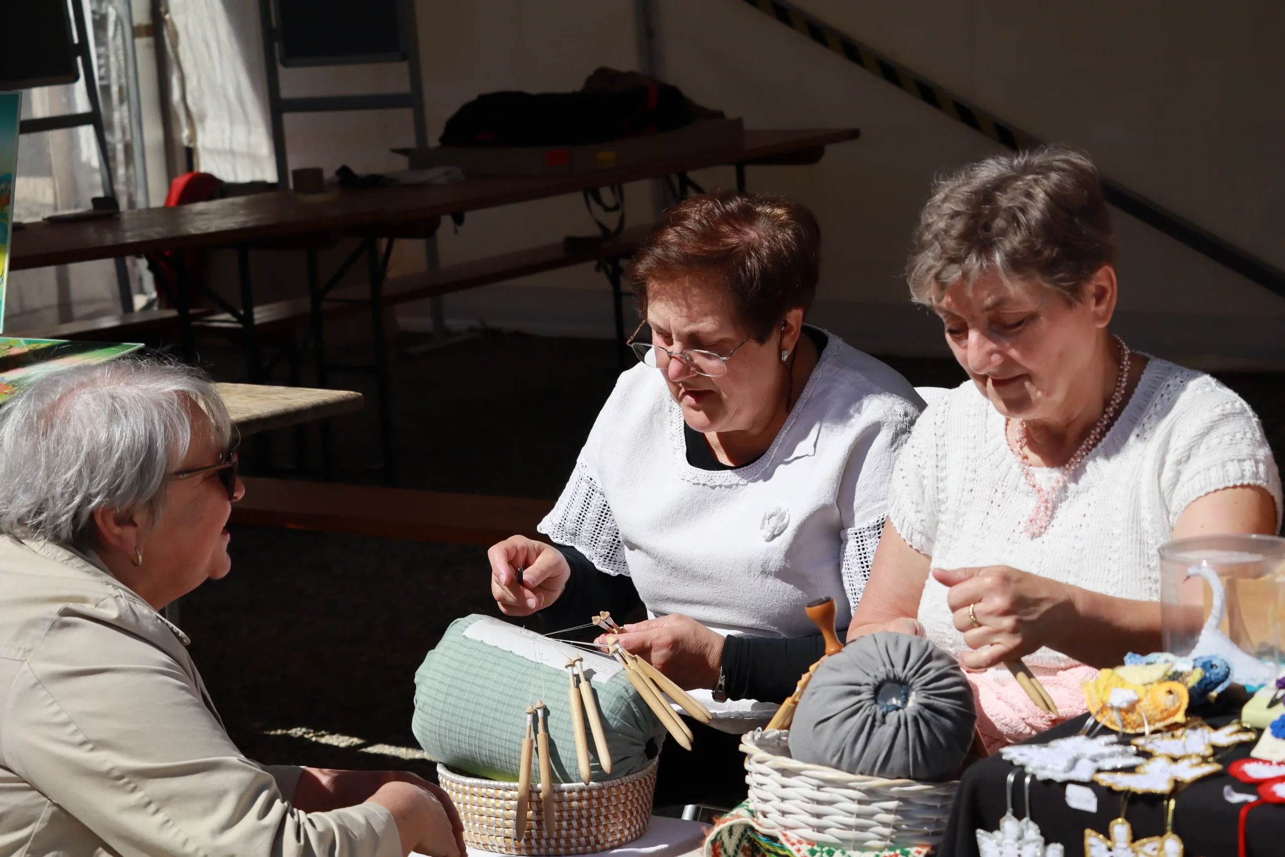 Sajam cvijeća Prelog, 2024 (48) Sajam cvijeća Prelog, 2024 (48)