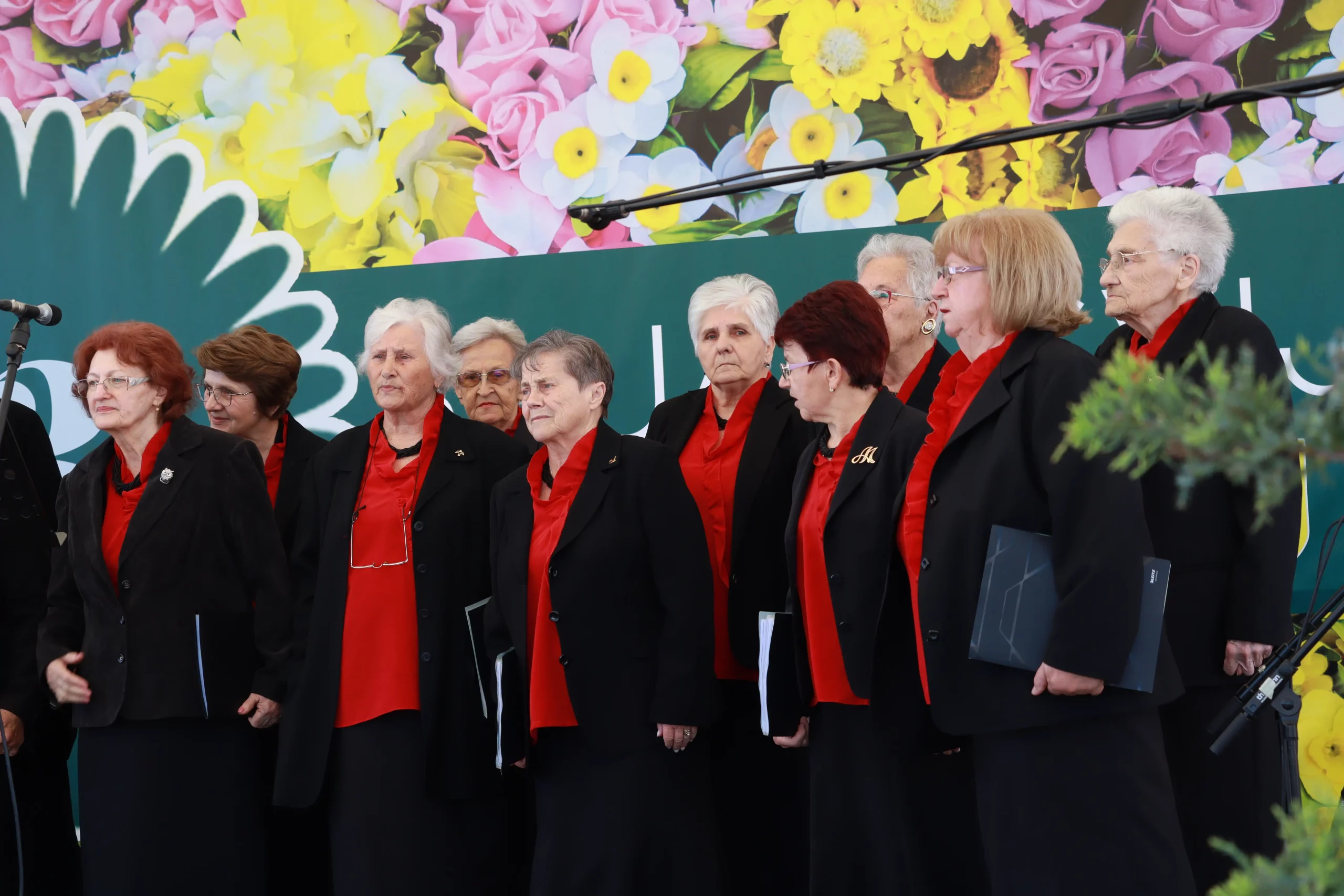 Sajam cvijeća Prelog, 2024 (49) Sajam cvijeća Prelog, 2024 (49)