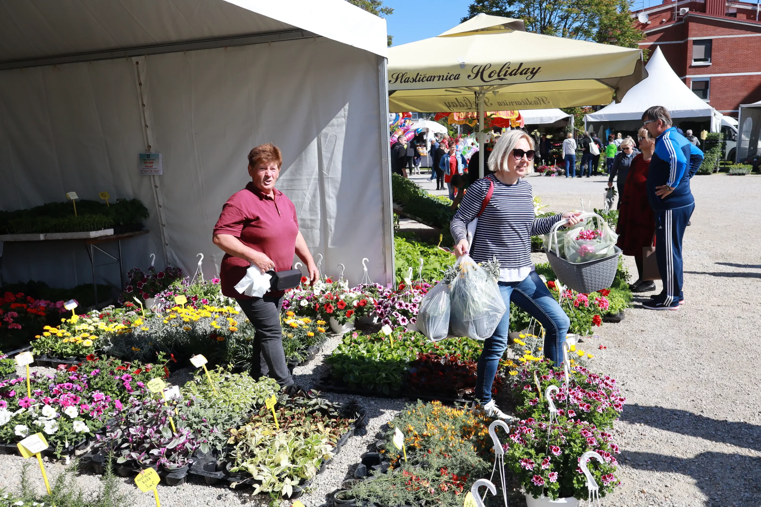 Sajam cvijeća Prelog, 2024 (5) Sajam cvijeća Prelog, 2024 (5)