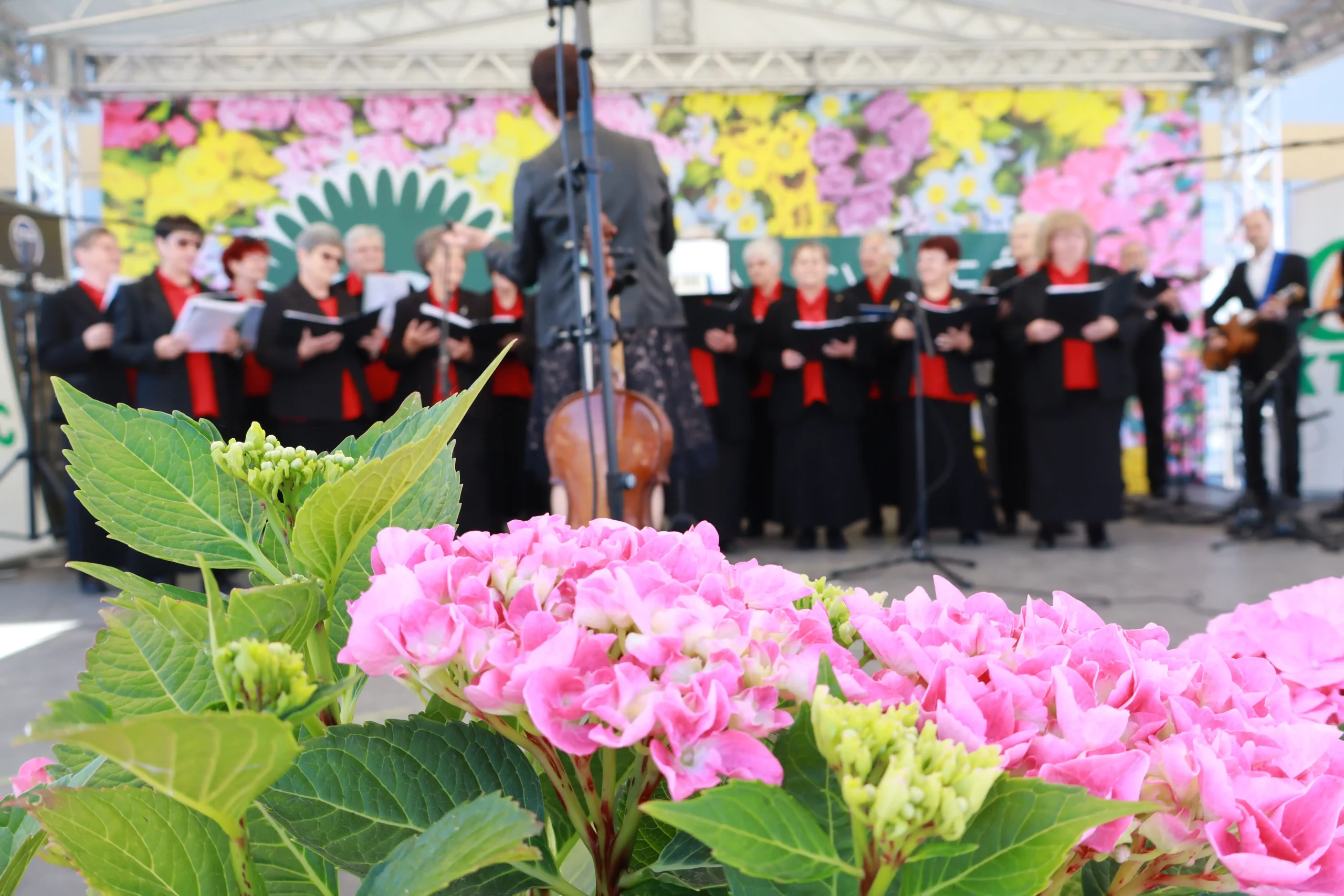 Sajam cvijeća Prelog, 2024 (57) Sajam cvijeća Prelog, 2024 (57)