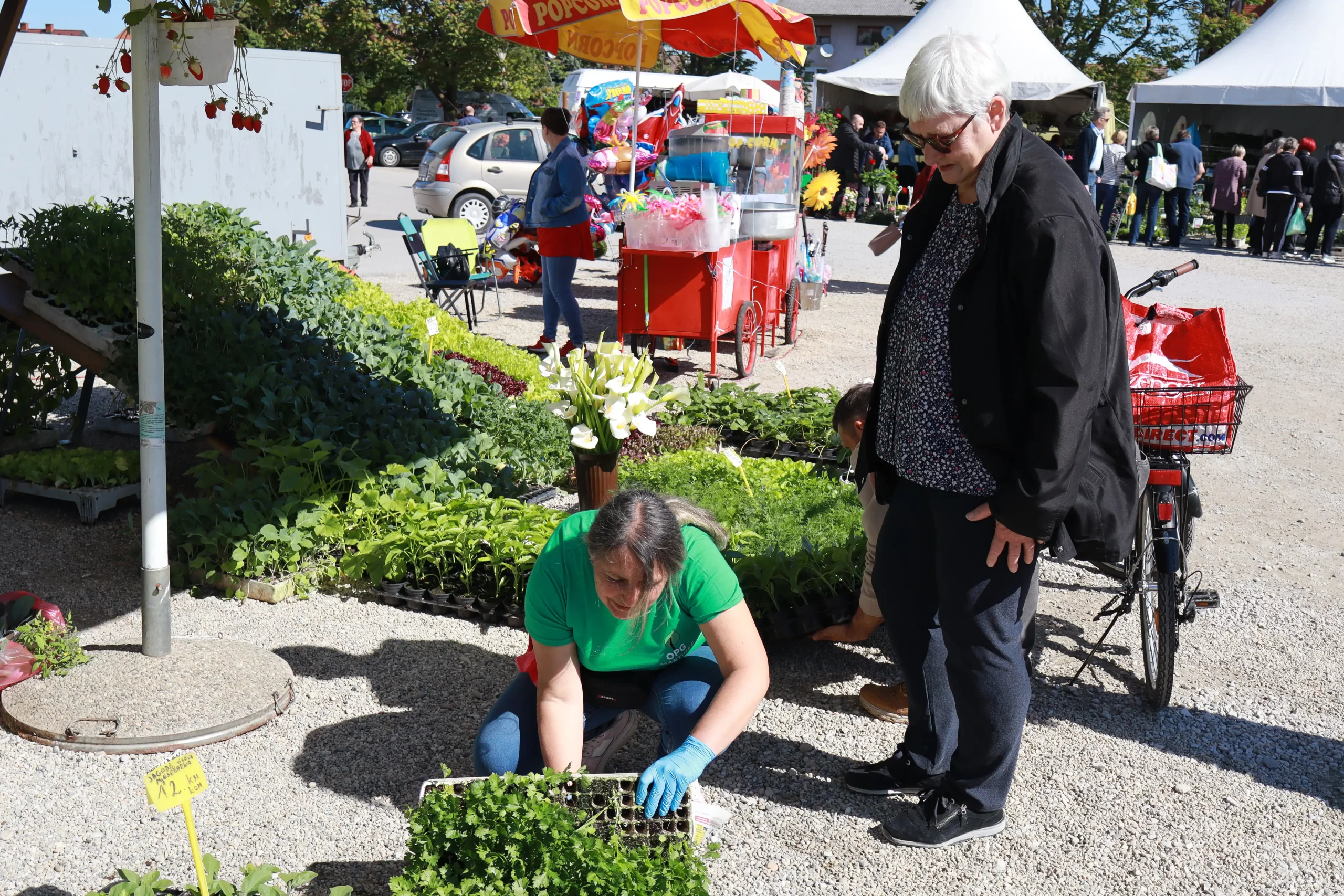 Sajam cvijeća Prelog, 2024 (6) Sajam cvijeća Prelog, 2024 (6)
