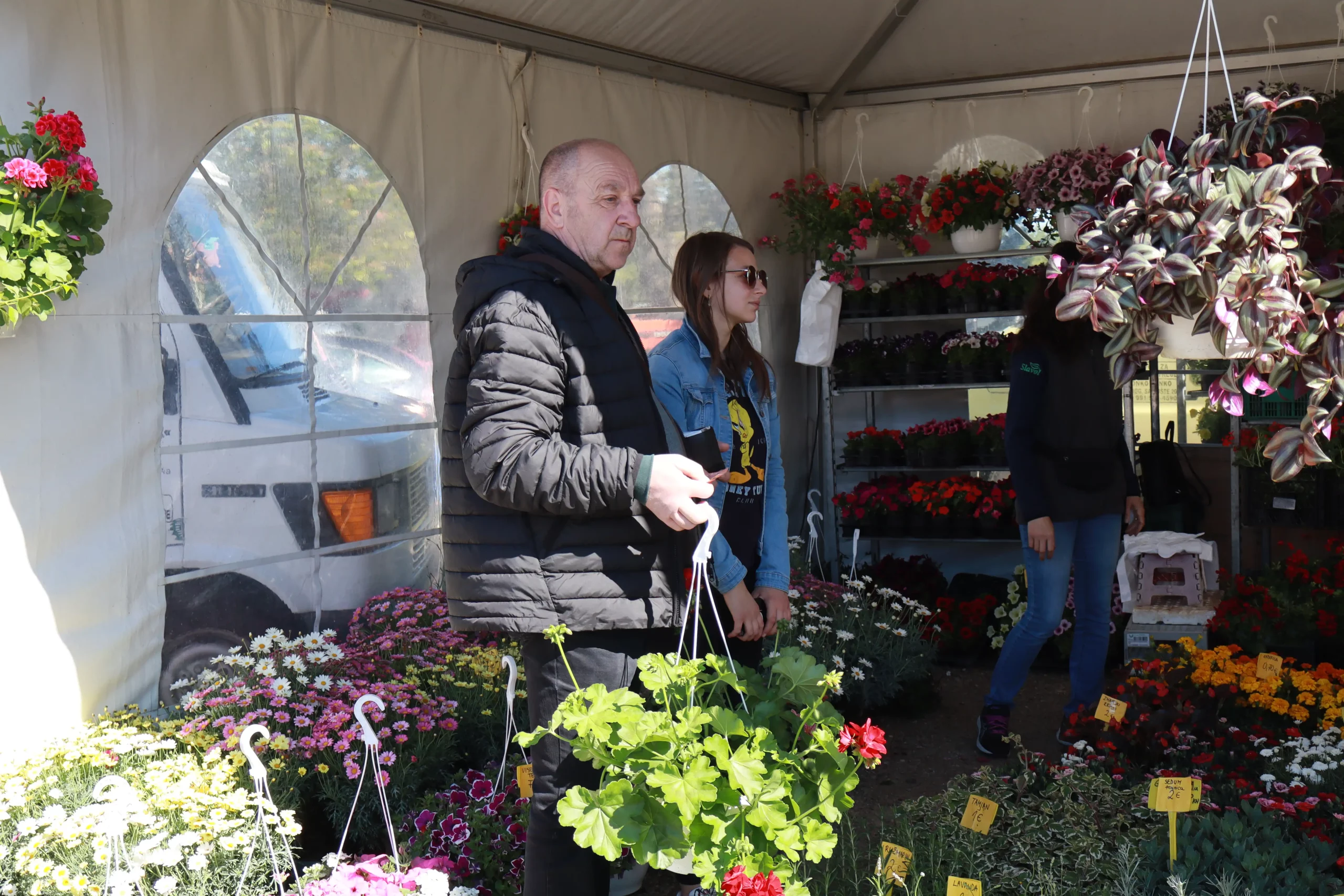 Sajam cvijeća Prelog, 2024 (7) Sajam cvijeća Prelog, 2024 (7)