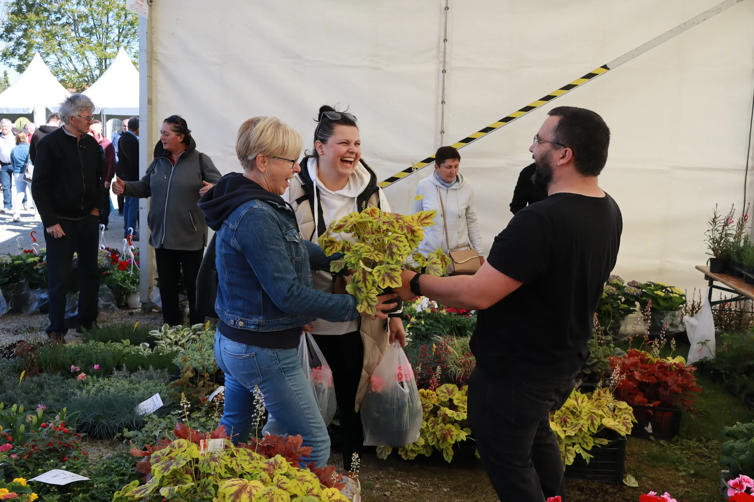 Sajam cvijeća Prelog, 2024 (9) Sajam cvijeća Prelog, 2024 (9)