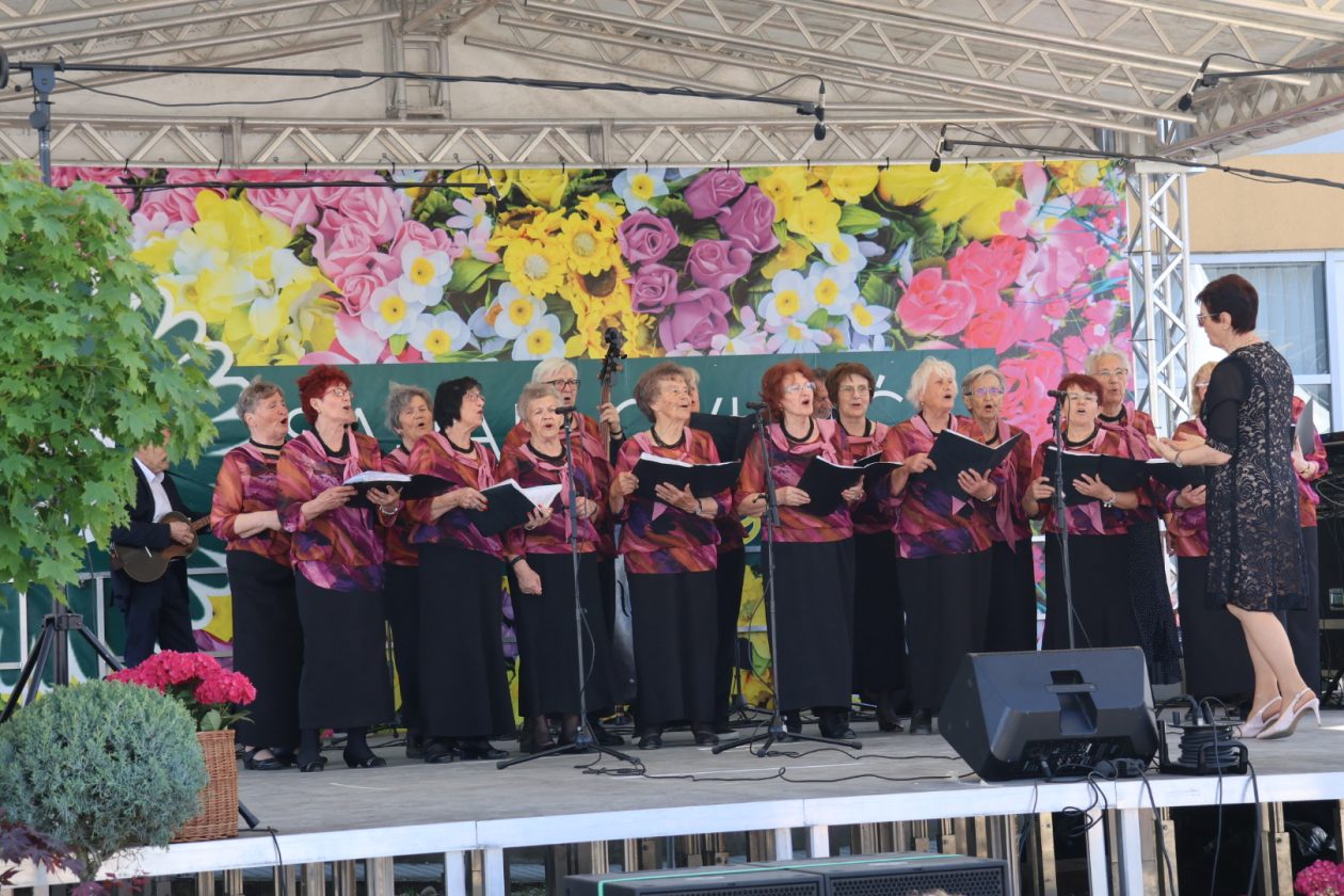 Sajam cvijeća Prelog 2026 (13)