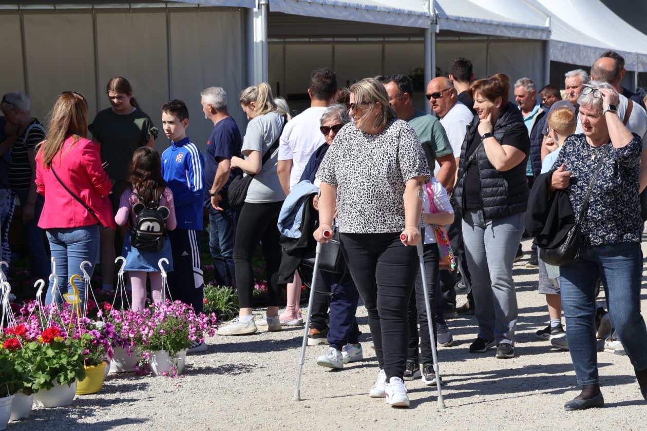 Sajam cvijeća Prelog 2026 (24)