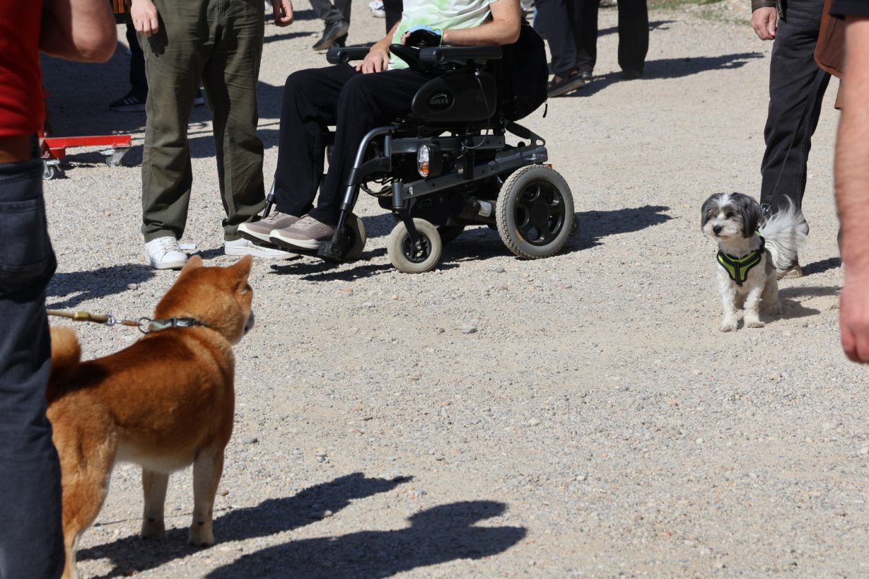 Sajam cvijeća Prelog 2026 (28)