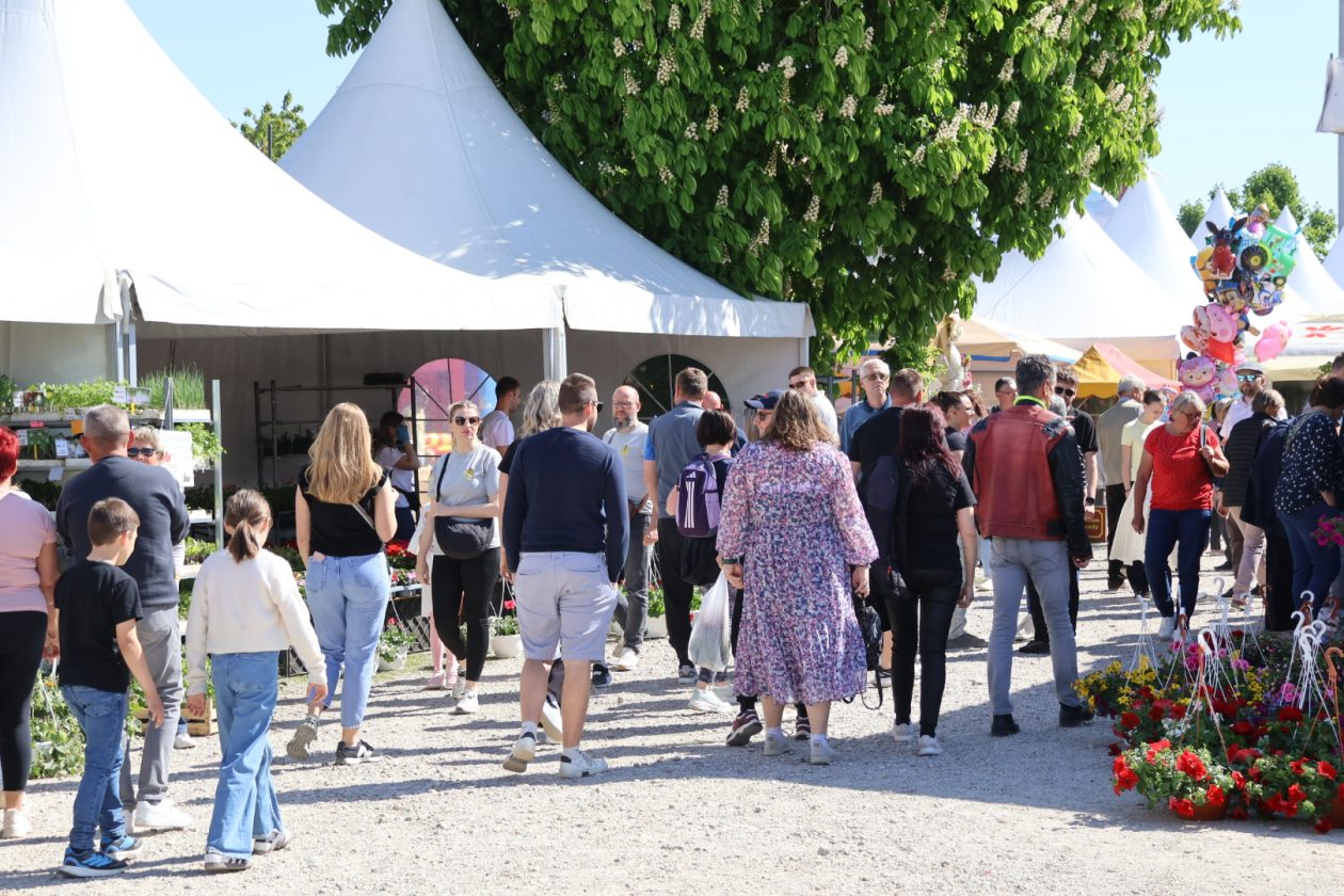 Sajam cvijeća Prelog 2026 (3)