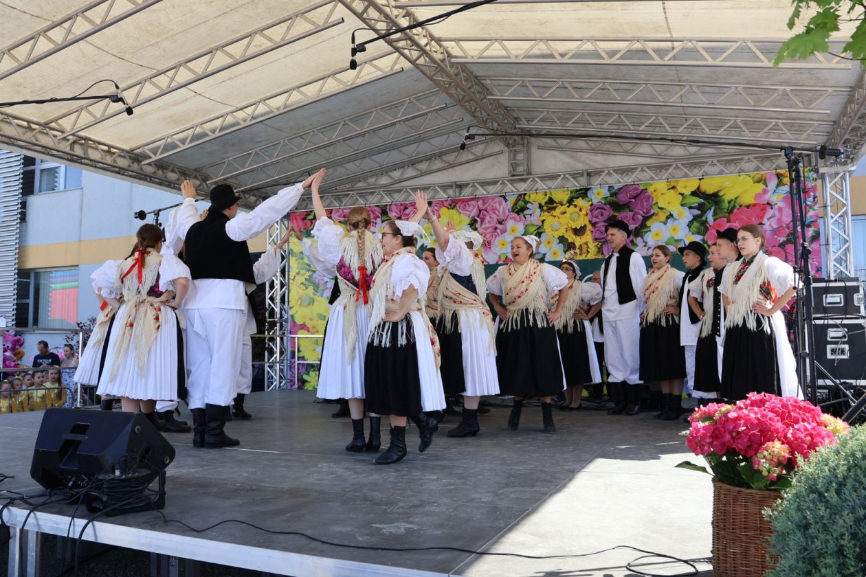 Sajam cvijeća Prelog 2026 (33)