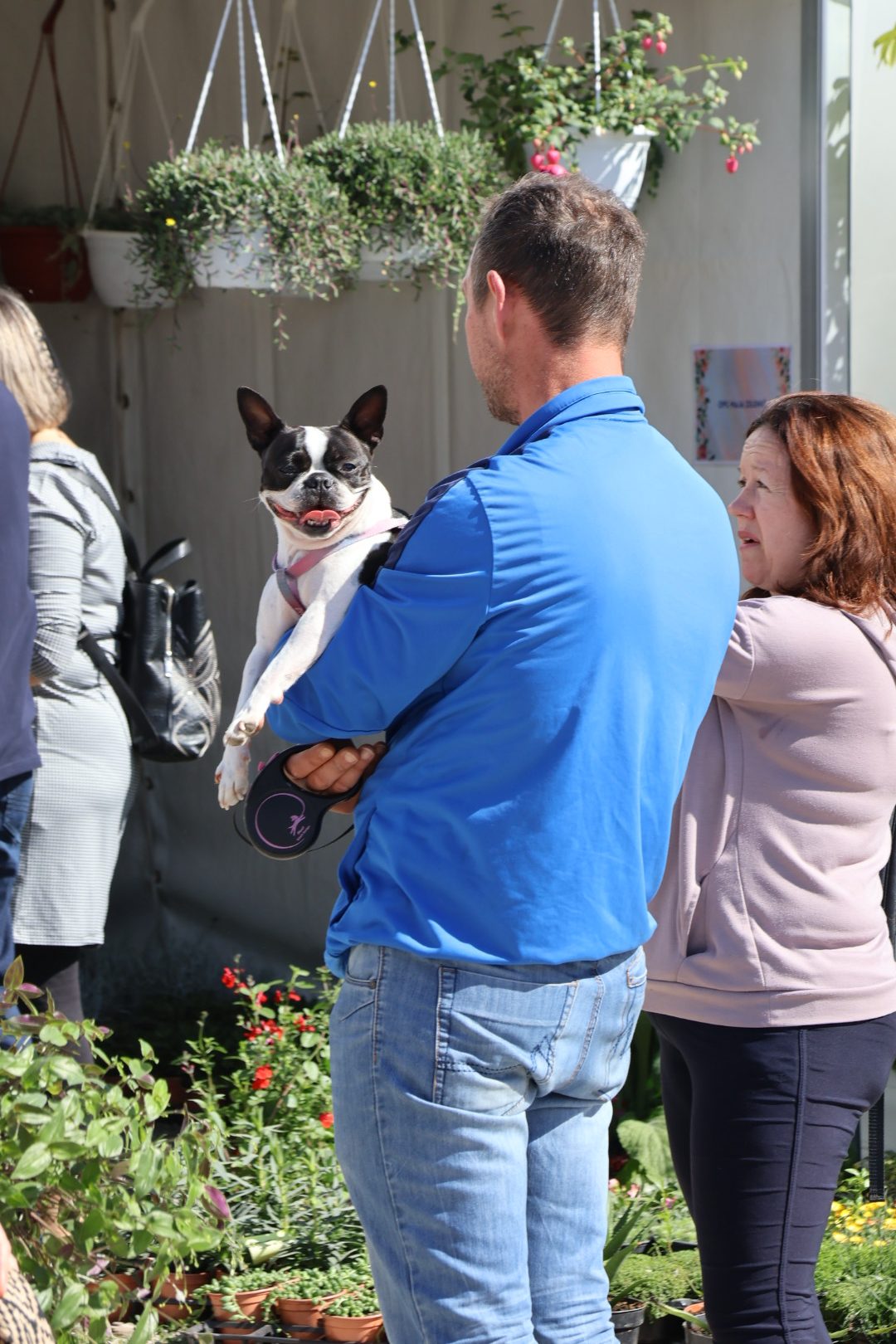 Sajam cvijeća Prelog 2026 (44)