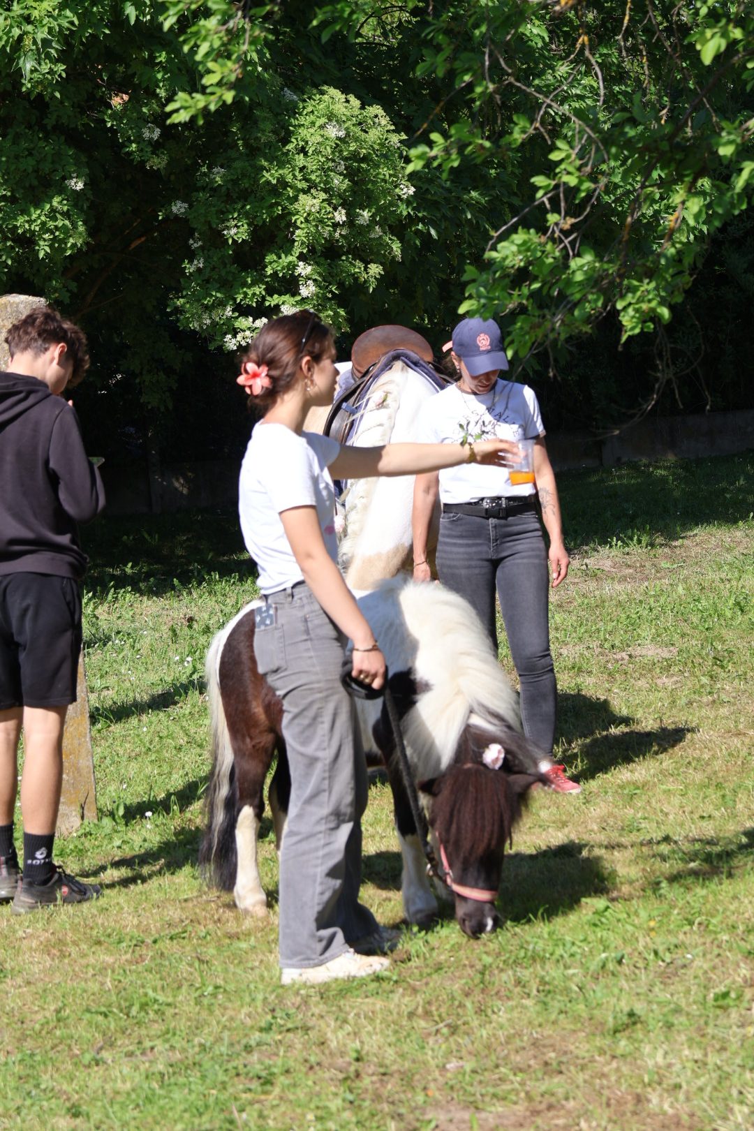 Sajam cvijeća Prelog 2026 (48)